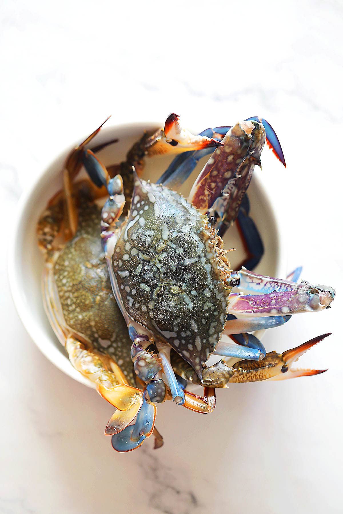 Raw blue swimmer crabs in a bowl.