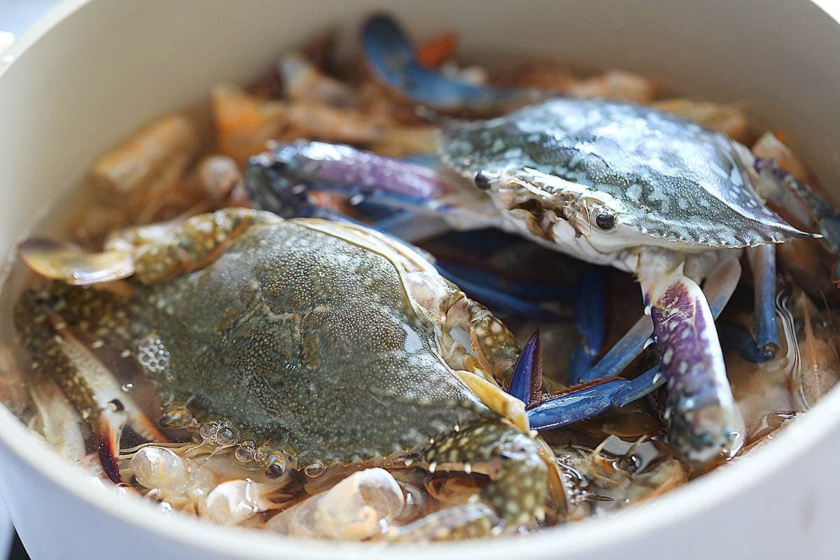 Shrimp shells, shrimp heads, and blue swimmer crabs in a pot of water.