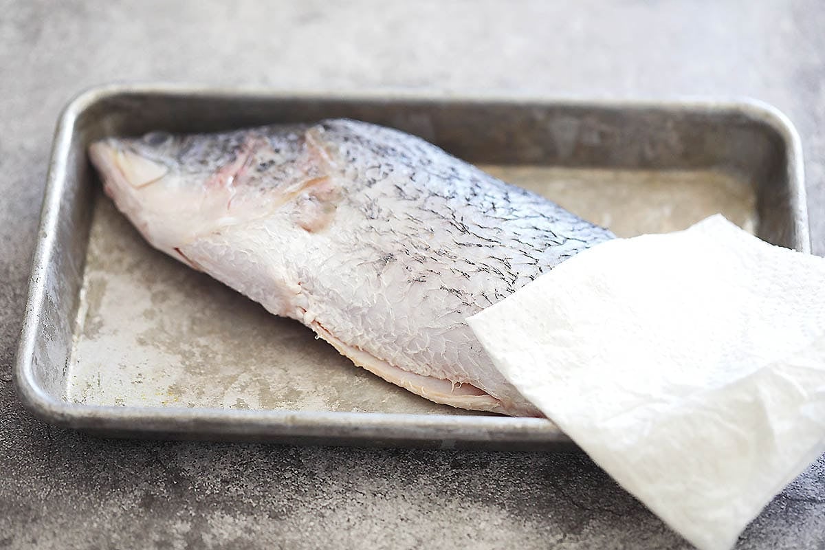 Seabass and paper towel on a tray.