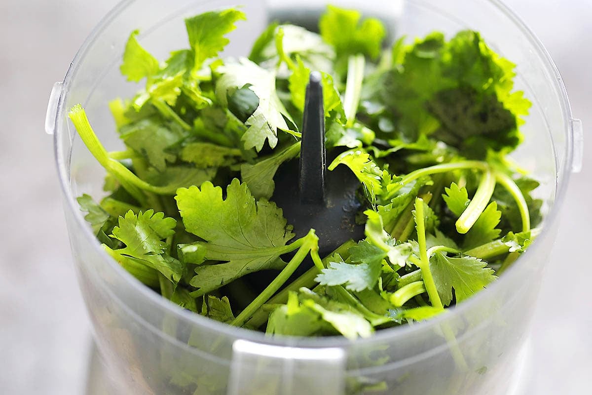 Cilantro in a blender.