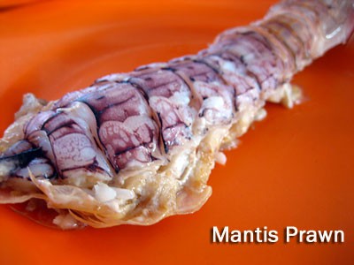 Mantis Prawns, Bukit Tambun